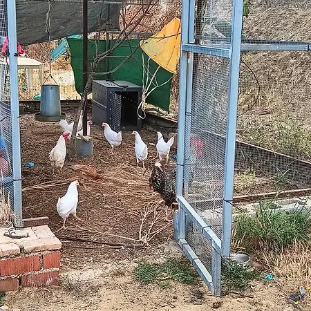 Mis Morenas ヴィラ